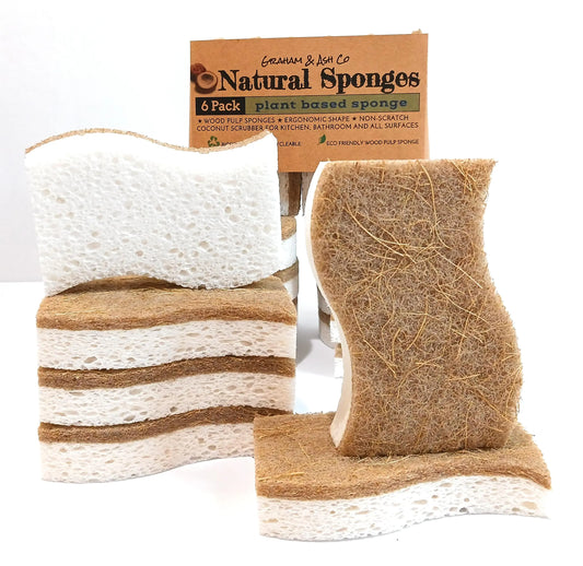 Biodegradable Sponge